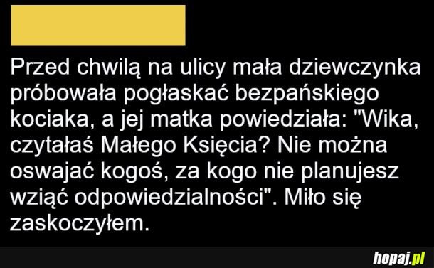 Miło się zaskoczyłem