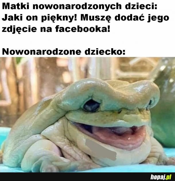 Piękne noworodki