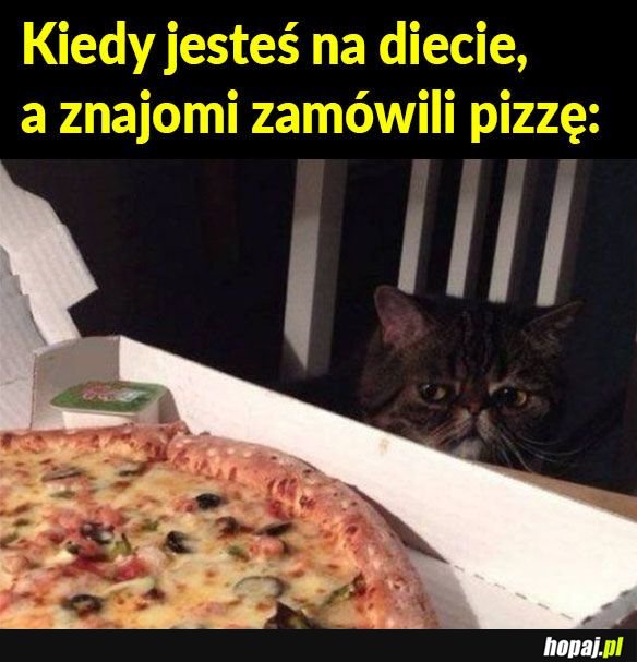 Kiedy jesteś na diecie