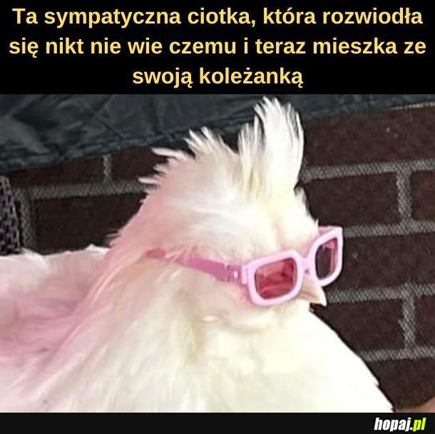 Ciotka