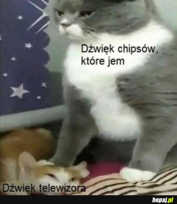 Zawsze..