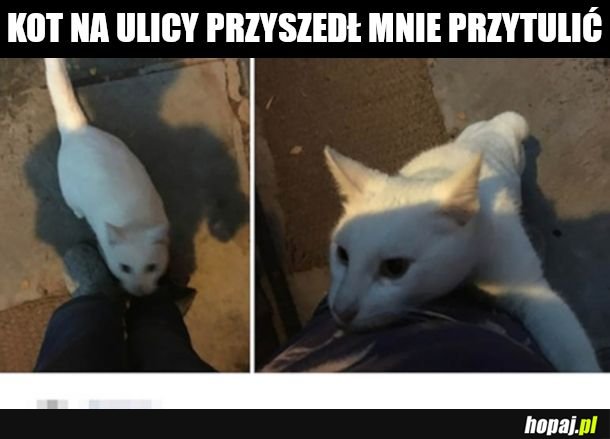 Złodziejaszek na pewno