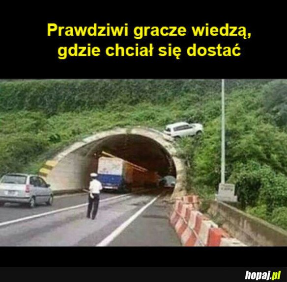 Gracze rozumieją