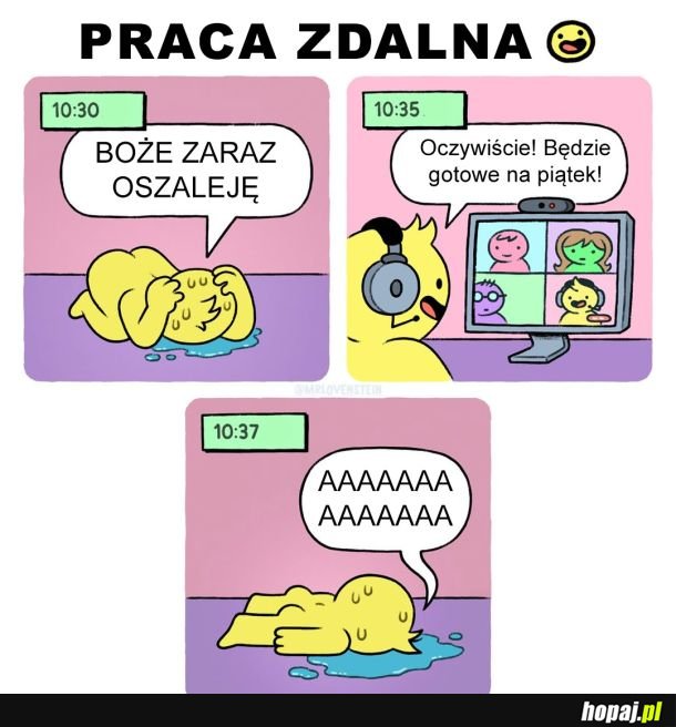 Praca zdalna jest super