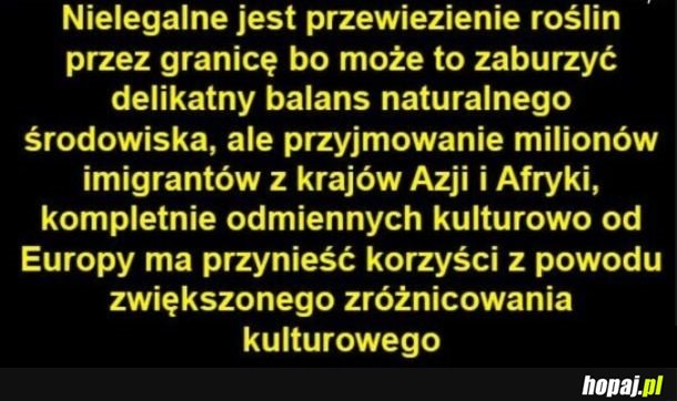 Czego nie rozumiecie