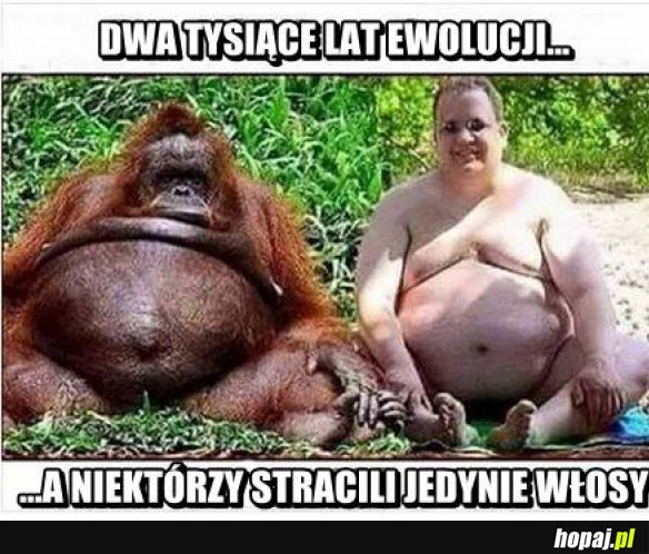 Ewolucja