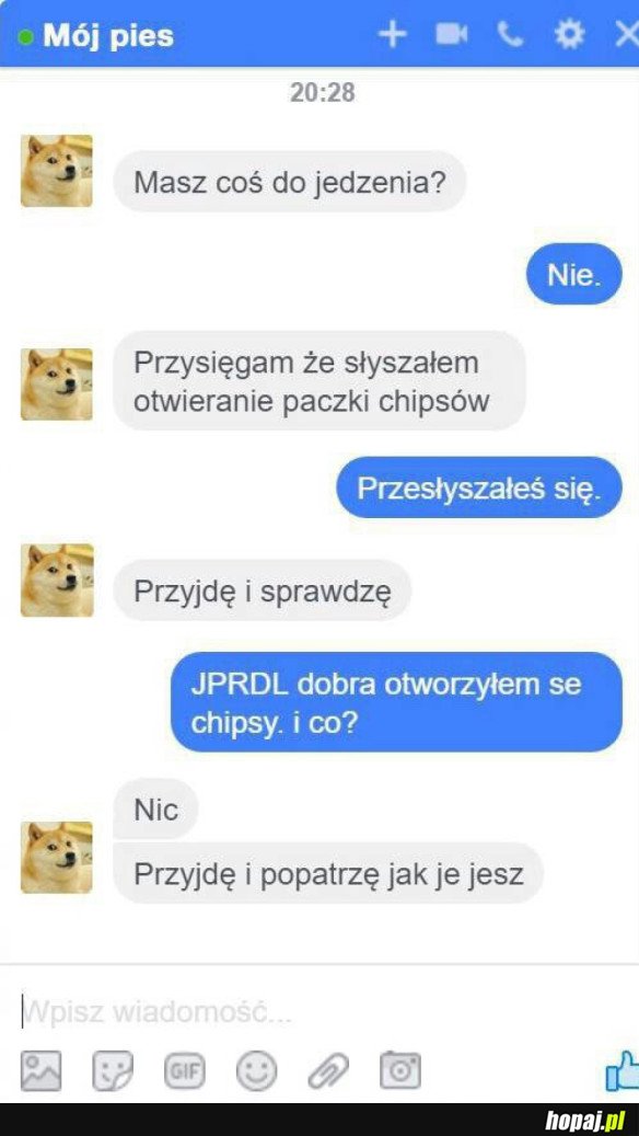 MÓJ PIES MNIE WKURZA