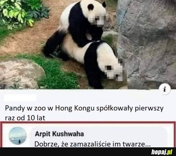 Pan da. Pani też da.