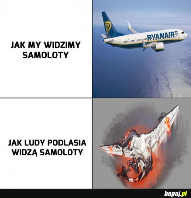 Tak to wygląda