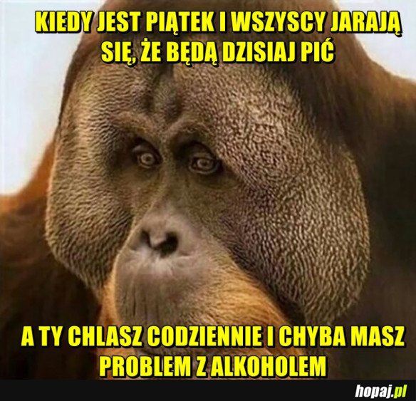 PROBLEM Z ALKOHOLEM