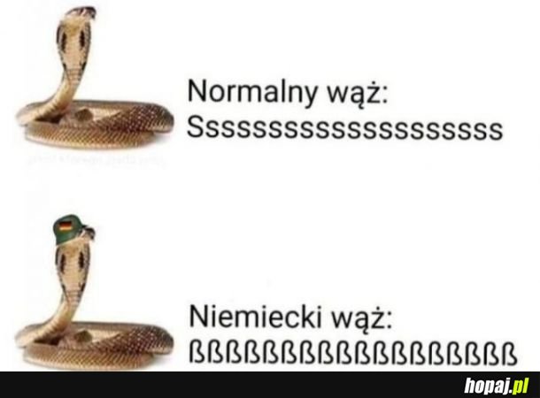 Normalne vs niemieckie