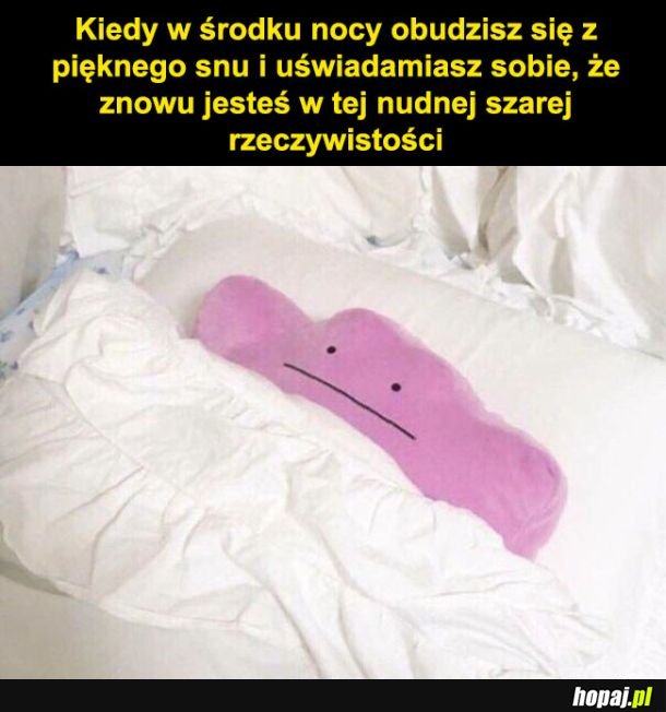 Szara rzeczywistość