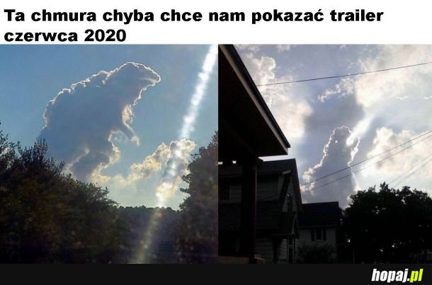 Zwiastun