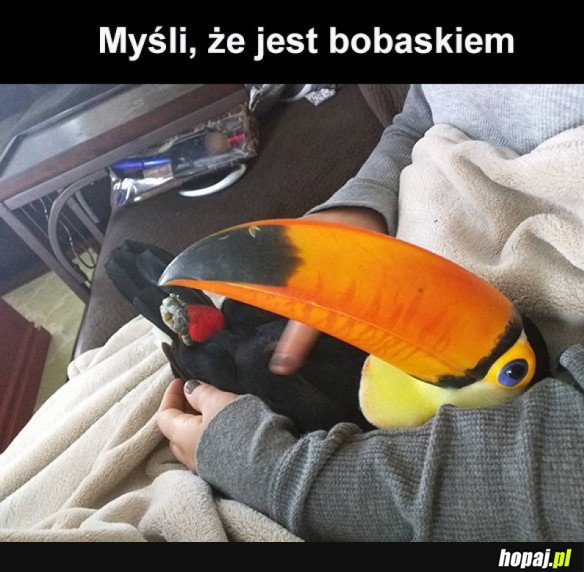 MOJE UROCZE DZIECKO