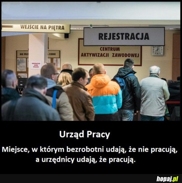 URZĄD PRACY