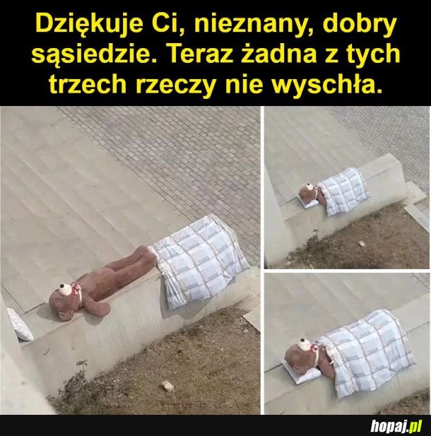 Śpiący miś