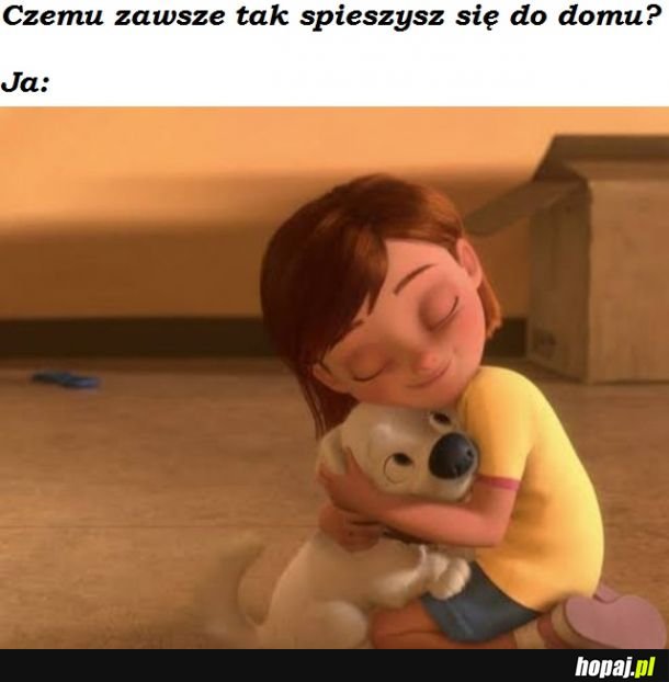 Mały się stęsknił