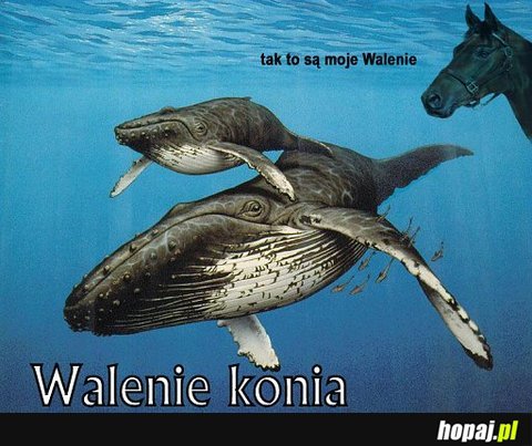 Walenie