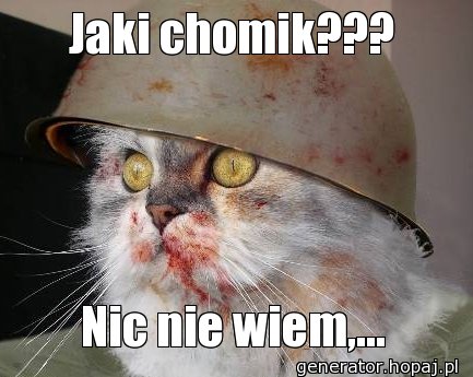 Jaki chomik???