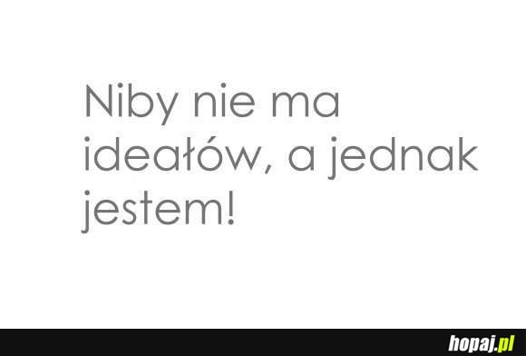 Niby nie ma ideałów