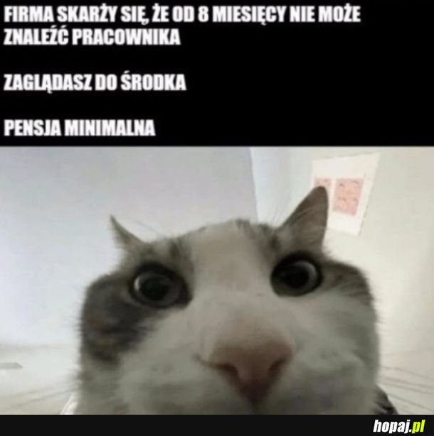 No tak