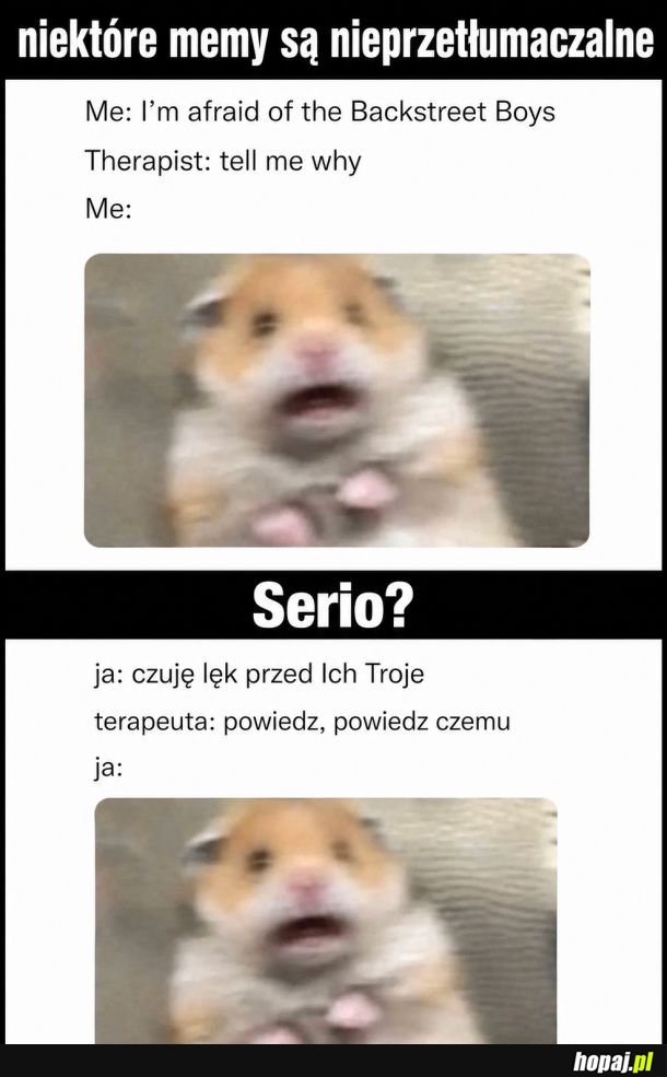 Nieprzetłumaczalny żart?