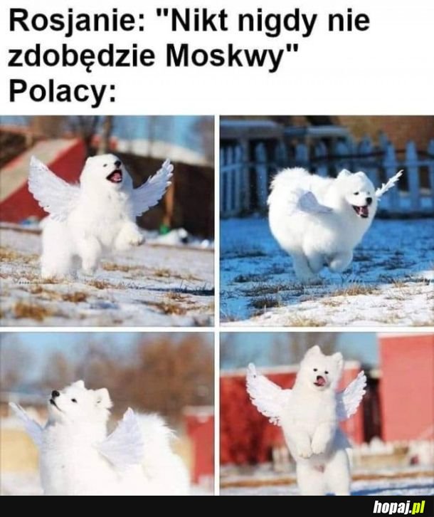 Then the winged hussars arrived