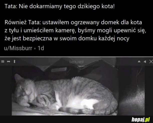 Zawsze się tak kończy