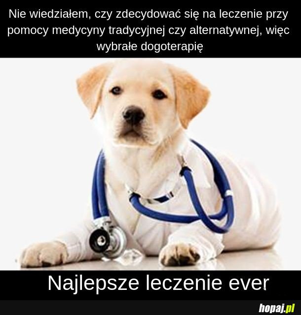 Dogoterapeuta