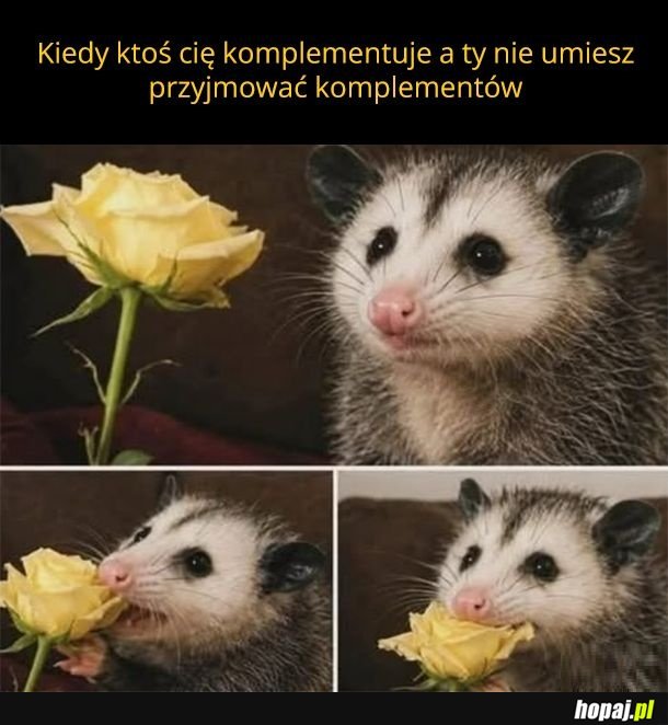 Omnomnom