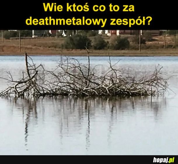 Zna ktoś?