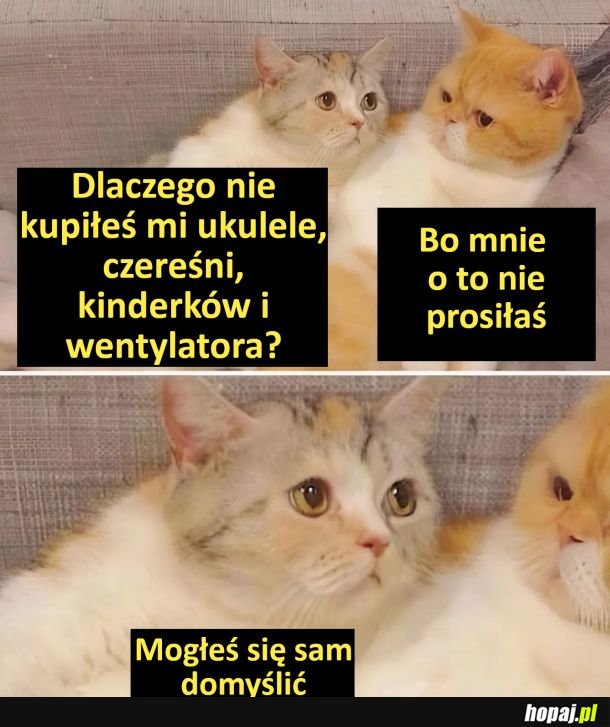 Mógł się domyślić