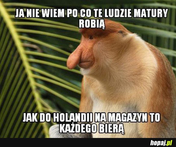 A KOMU TO POTRZEBNE