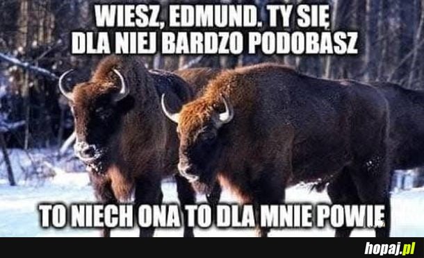 Tymczasem na Podlasiu