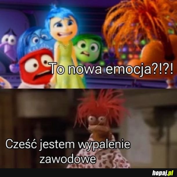 No siema