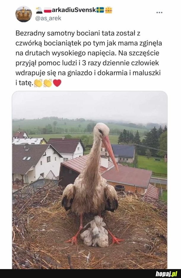 Smutna historia