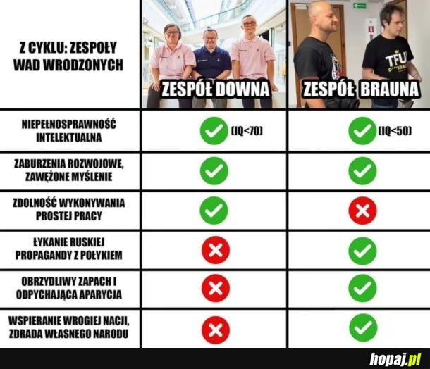 Odkryto nowy zespół wad wrodzonych - zespół brauna