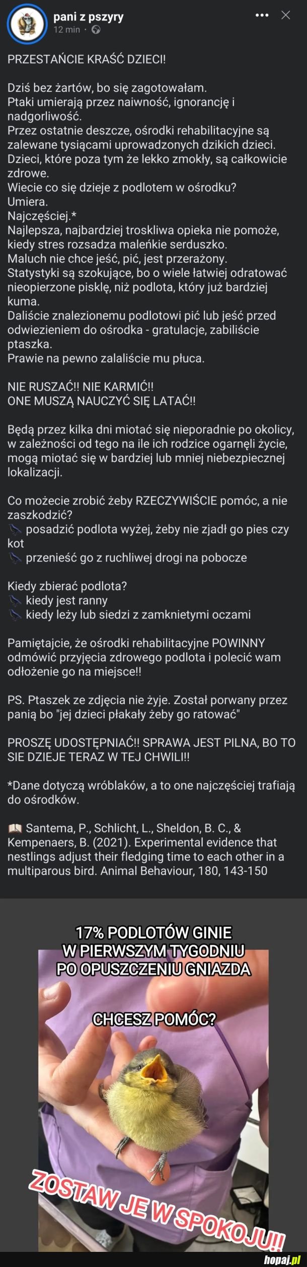 Po pierwsze: nie szkodzić