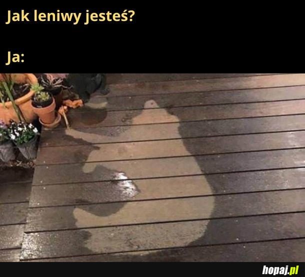 Troszeczkę