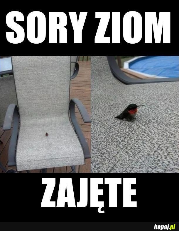 Zajęte miejsce