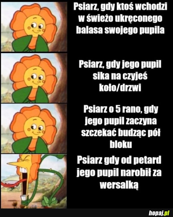 Psiarze