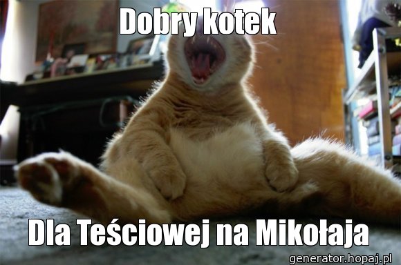 Dobry kotek