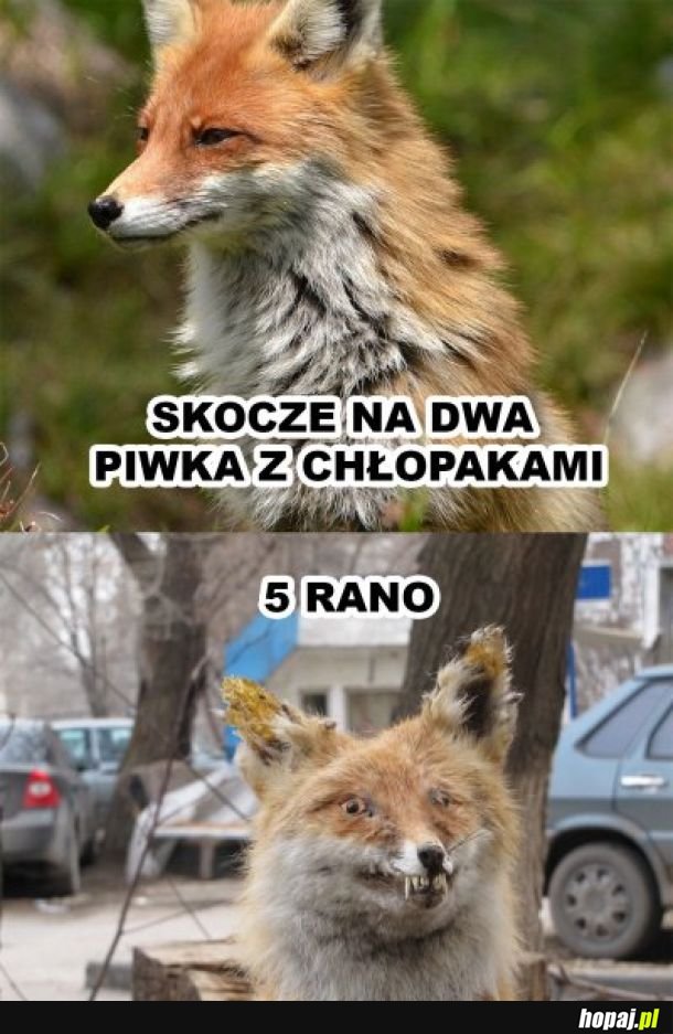 Jedno piwko tylko