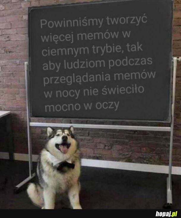 Sporo osób przegląda memy w nocy 