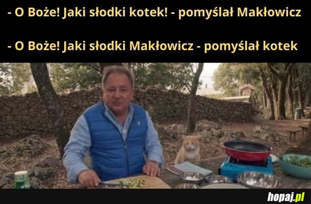 Kotek i Makłowicz