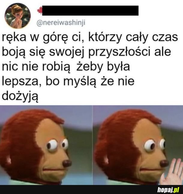 To się zdziwią