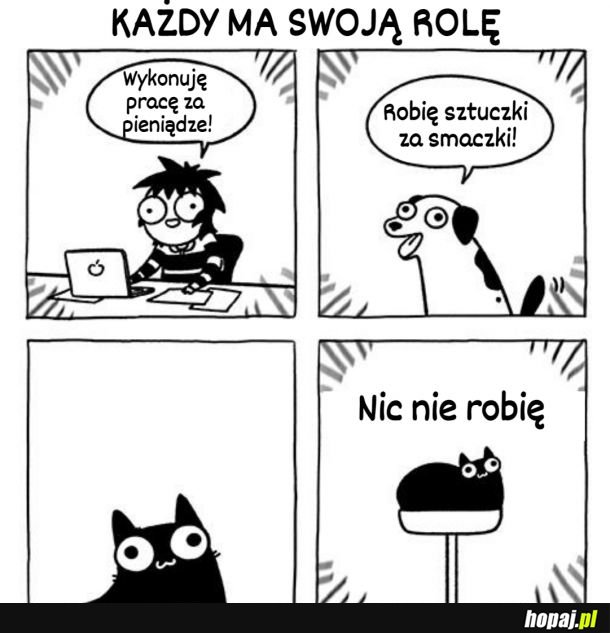 Nie każdy może być kotem (choć wielu by chciało)