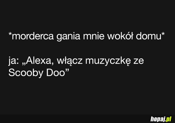 Morderca gania mnie wokół domu