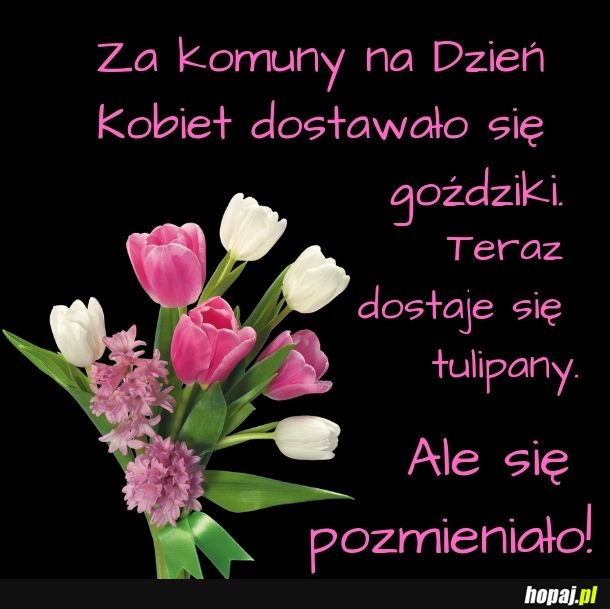Teraz nawet rajstop nie dają 