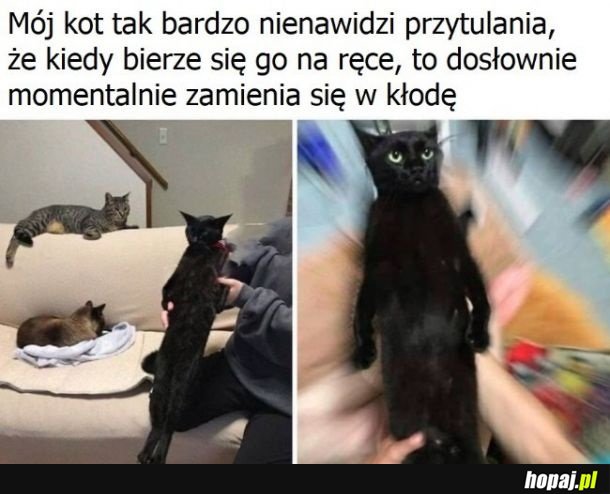 Przytulanie